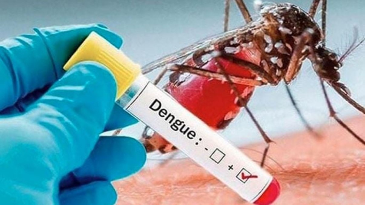 ডেঙ্গুতে হাসপাতালে ভর্তি রোগীর সংখ্যা ২৭ হাজার অতিক্রম করলো